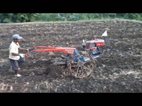 Traktor Quick G1000 Membajak Sawah Persiapan Musim Tanam Traktor Quick G1000 Membajak Sawah Persiapan Musim Tanam