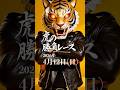 【虎の勝負レース】4月12日（日）