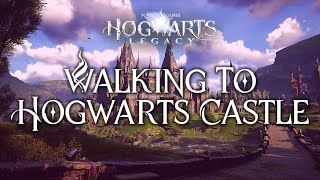 First-Person Walk To Hogwarts Castle | Harry Potter 4K Music & Ambience | Hogwarts Legacy