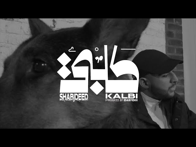 Shabjdeed - KALBI شب جديد - كلبي class=