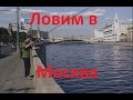 Диалоги о рыбалке -136- Городская рыбалка в Москве-реке