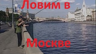 видео: Диалоги о рыбалке -136- Городская рыбалка в Москве-реке картинка: Диалоги о рыбалке -136- Городская рыбалка в Москве-реке