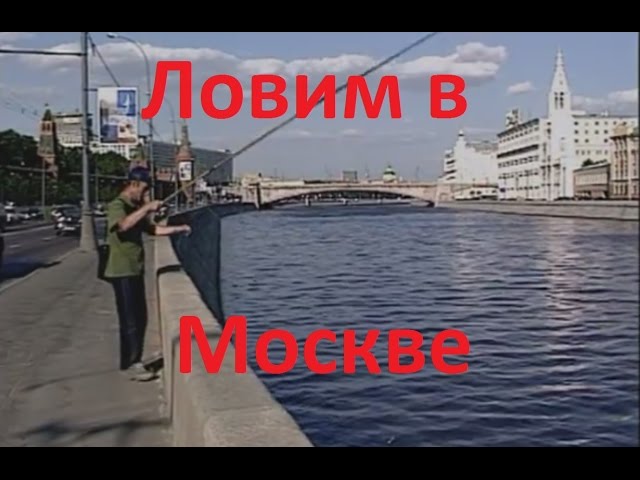 Диалоги о рыбалке -136- Городская рыбалка в Москве-реке