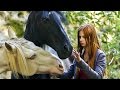 OSTWIND 2 | Trailer & Filmclips [HD]