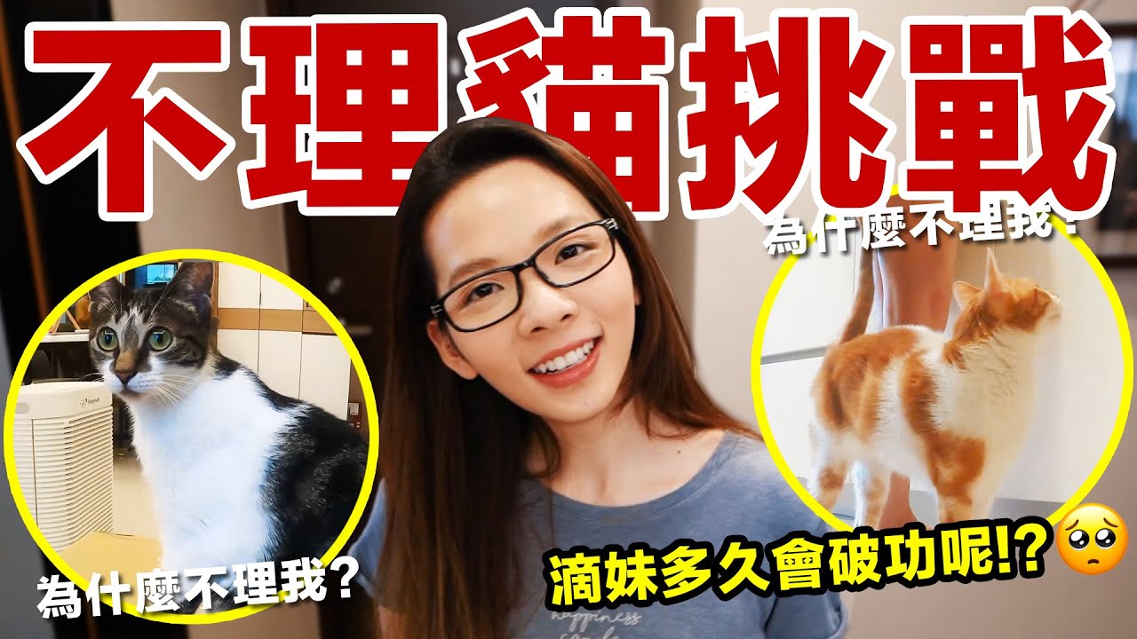 殘忍實測! 不理貓挑戰可以堅持多久? ♥ 滴妹 feat. 珍珠，奶茶