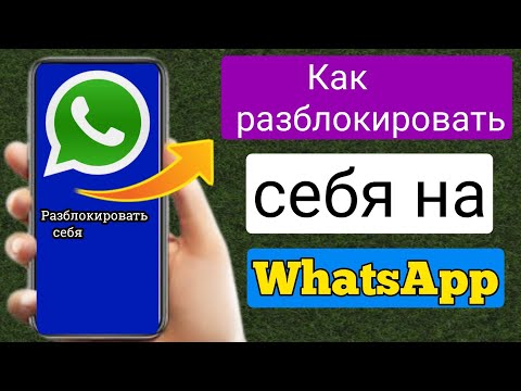 Как разблокировать себя в WhatsApp, если кто-то заблокировал (2023) |  разблокировать ватсап аккаунт