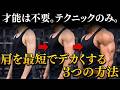 【2026年最新版】肩トレしても変わらない理由│三角筋が発達しない3つの落とし穴