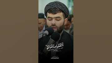 سورة الزمر بيشةوا قادر الكردي