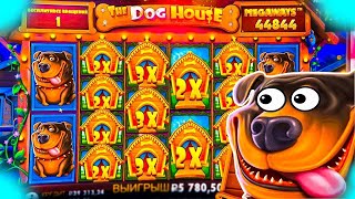 :  100k  THE DOG HOUSE | THE DOG HOUSE 