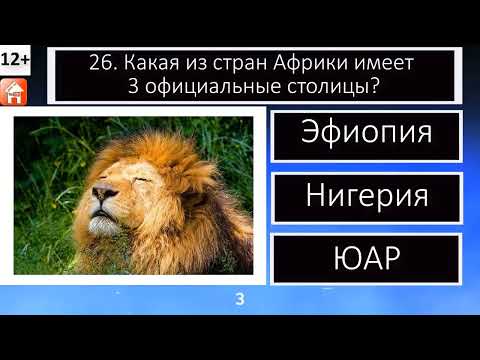 Video: Америка чет элдик шайлоолорго кандай таасир этет