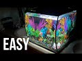 How to Set Up a Fish Tank (Detailed Version)