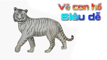 Hướng dẫn vẽ con hổ vô cùng đơn giản