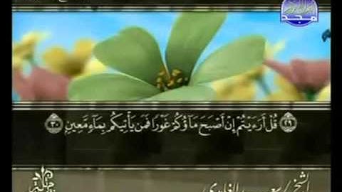القرآن الكريم   الجزء التاسع والعشرون   تلاوة سعد الغامدي   29
