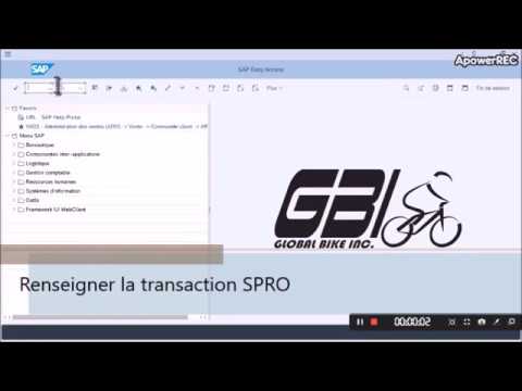 SAP - IGR - Transaction SPRO : paramétrage le contrôle de l'ordre interne