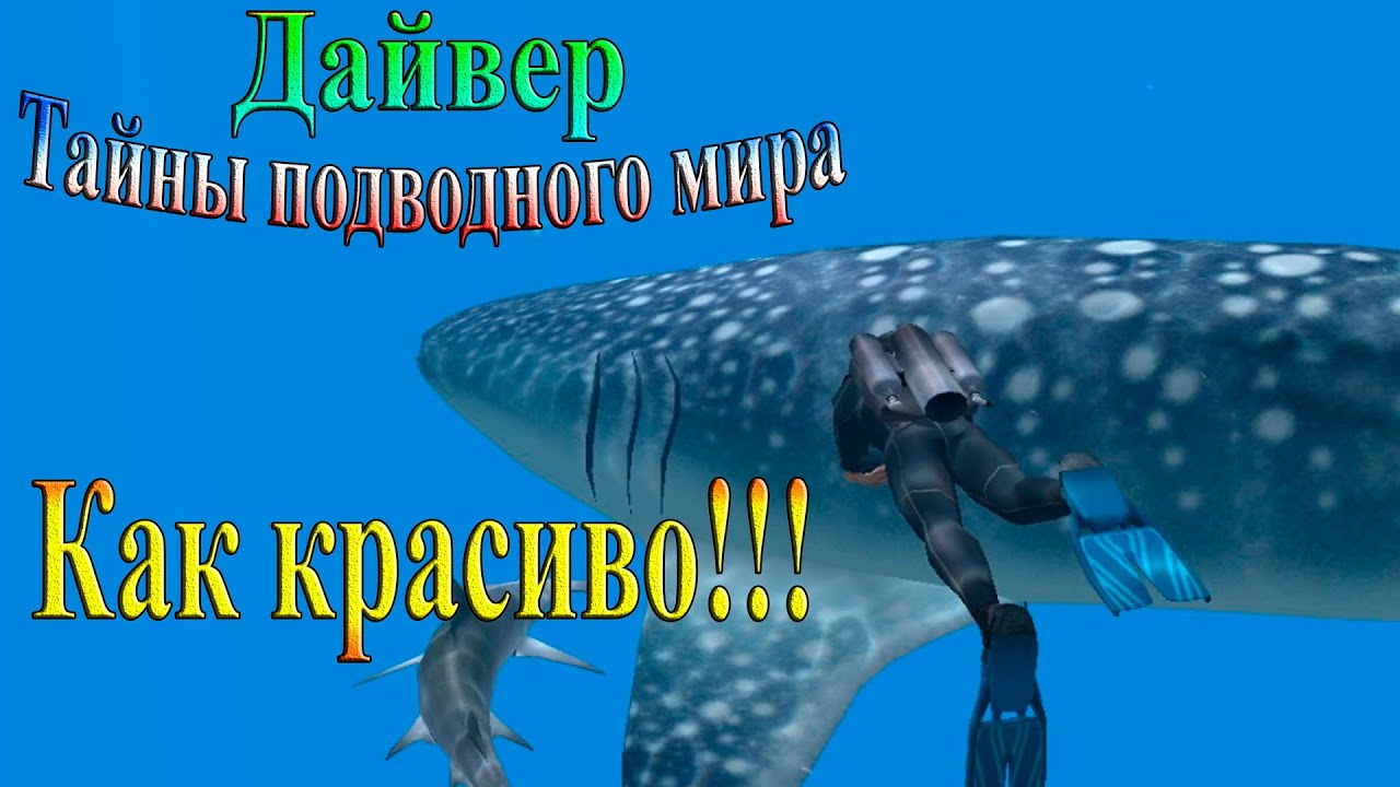 The DocenT Дайвер. Тайны подводного мира - Как красиво!!!