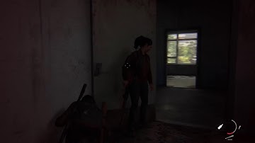 TLOU 2 Grounded Permadeath (per chapter)