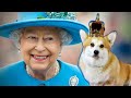 Os pets da realeza vivem bem DEMAIS: rainha Elizabeth faz de tudo pra eles| Família Real | VIX Icons