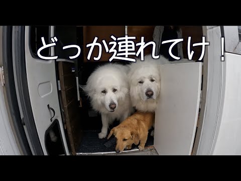 ちょこっとドライブ キャンピングカー