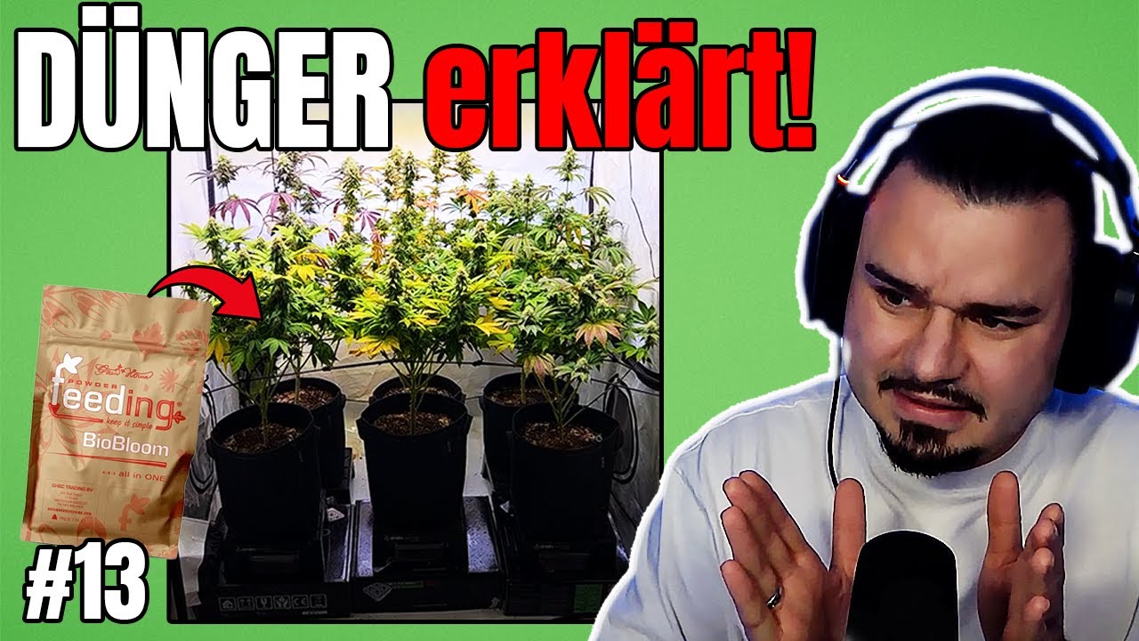 ENDLICH verstanden! 💧 Welchen Dünger ich nutze & was dabei wichtig ist | Grow Tagebuch #13