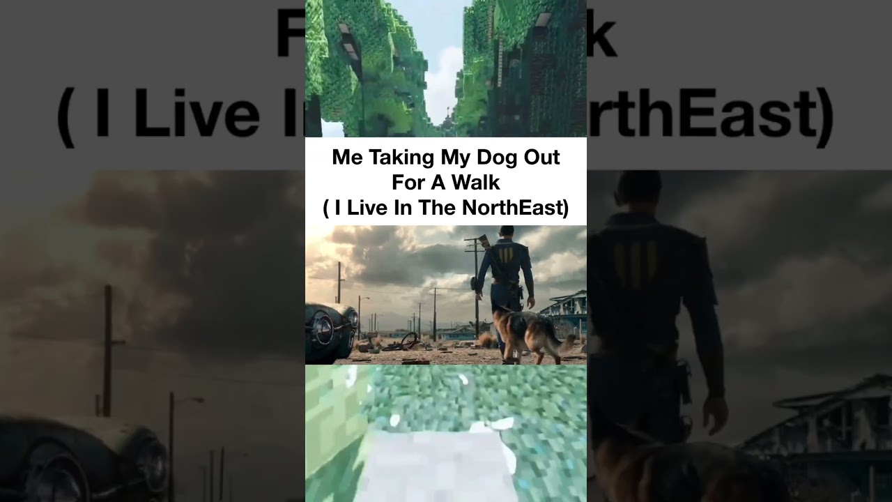 memes I found on discord 20 