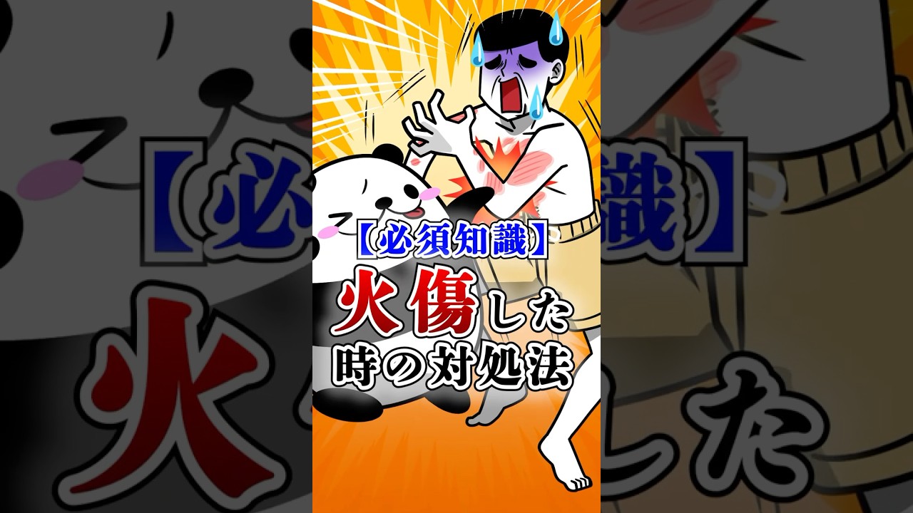 【必須知識】火傷した時の対処法#テイペン#Plottアニメ