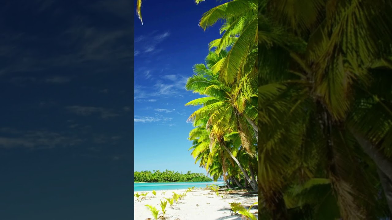 Unlock the Secrets to Scoring the Best Online Travel Booking Deals! 🌍✈️