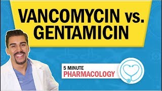 Pharmacology  Vancomycin vs. Gentamicin Antibiotics nursing RN PN NCLEX