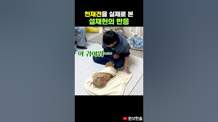천재견 아니라고 했더니 열받은 강아지의 계란말이 #시트콤