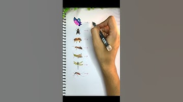 When Insects Teach Us English  | Fun Learning with Nature #youtubeshorts  #education #english