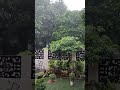 Delhi Rainstorm