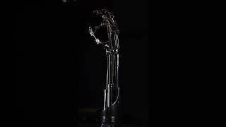 Terminator 2 Endoskeleton Arm #terminator #terminator2 #endoskeleton #skynet #arnoldschwarzenneger