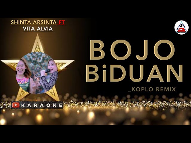 BOJO BIDUAN KARAOKE - Vita Alvia ft Shinta Arsinta class=