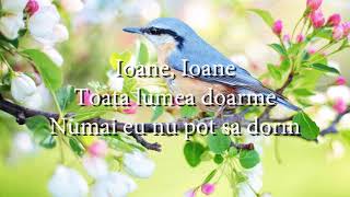 Video thumbnail of "Mirabela Dauer - Ioane, Ioane (lyrics, versuri, karaoke)"