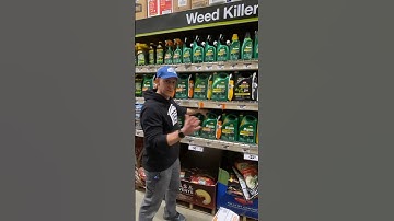 BEST Way To KILL WEEDS For Cheap