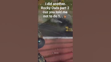 idk why I did this again... Rocky Owls part 2... AGAIN