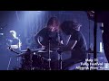 Birds Do It - Epic Accordion and Drum Solo