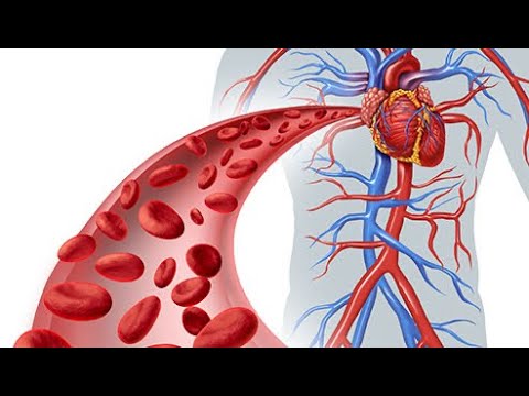 Video: Si Ndikon Moti Në Presionin E Gjakut?