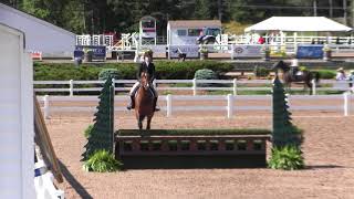 Video Of Coco Chello Ridden By Emily Gilbert From Shownet