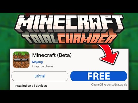 Download Minecraft 1.21 for Android free