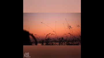 سورة : الزخرف القارئ : حاتم المالكي