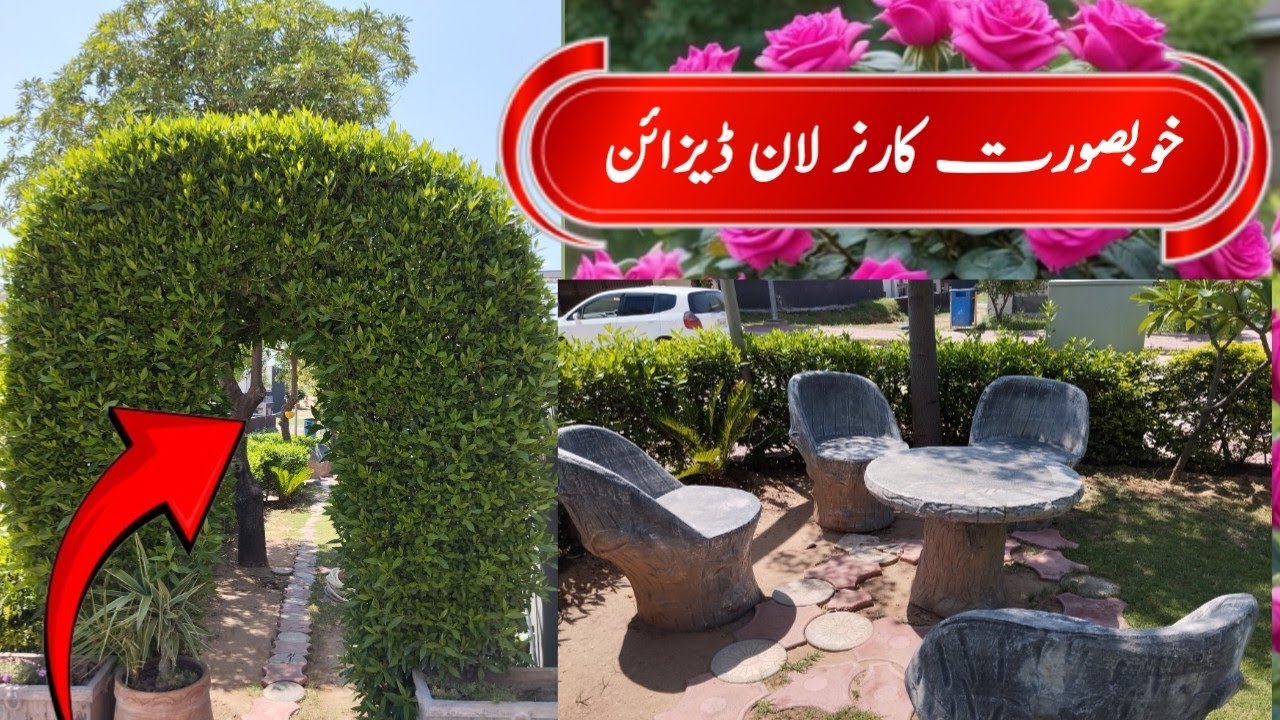 Beautiful Corner Lawn Design | Flowers Hedge and Ficus Plants Variety | Lawn Grass