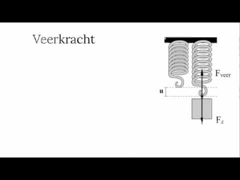 De veerkracht en de zwaartekracht