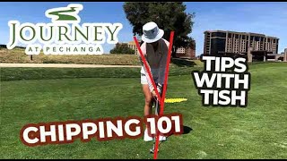 Tips with Tish: Chipping 101