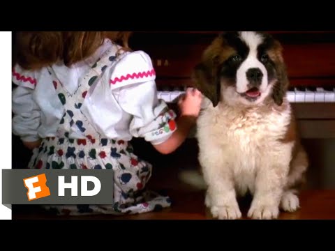 Beethoven (1992) - Naming Beethoven Scene (2/10) | Movieclips