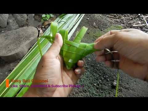 How to Make (bikin) Woven Coconut Leaves (ketupat) with a Horn