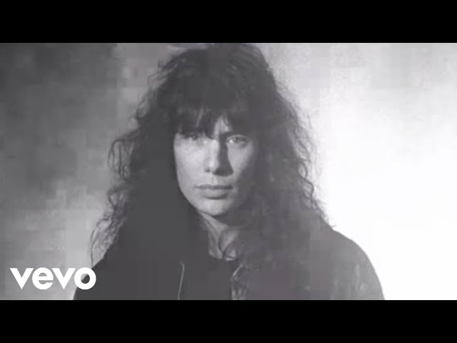 MR BIG  -  JUST TAKE MY HEART