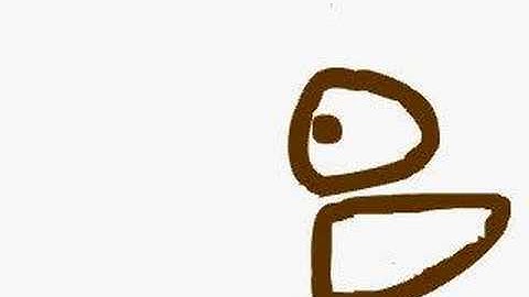 my first flash video