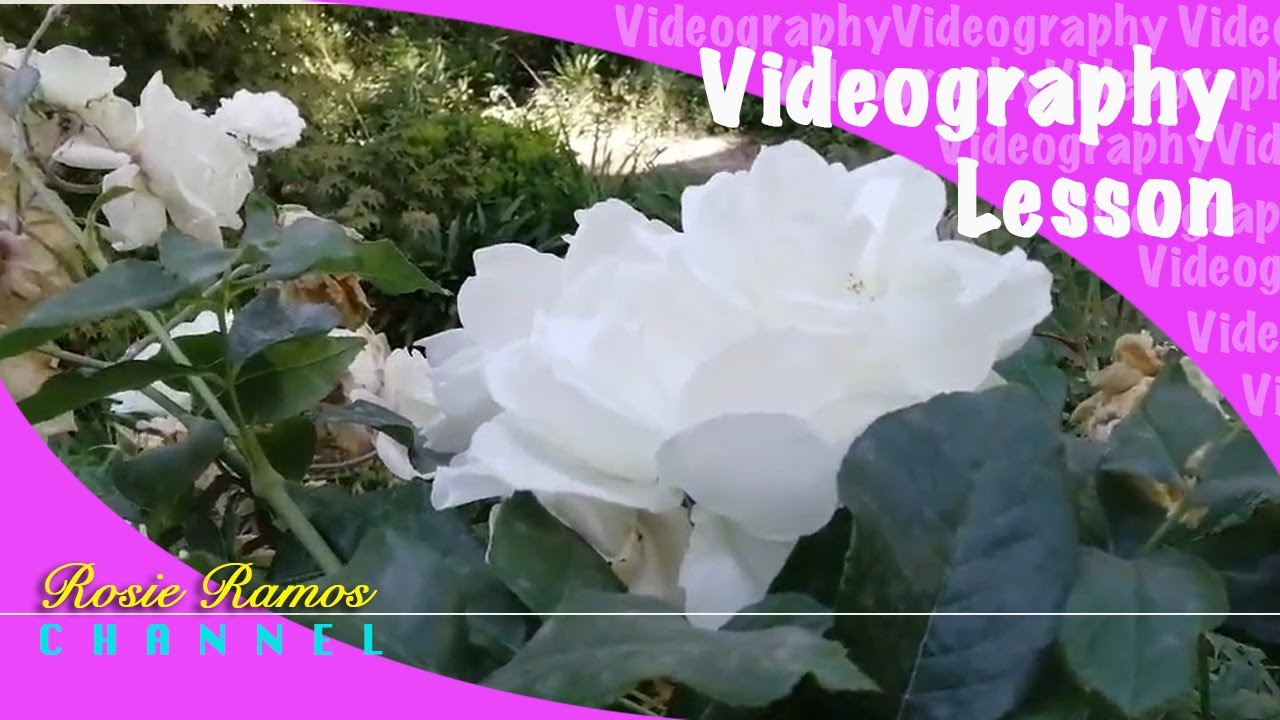 VIDEOGRAPHY LESSON YouTube