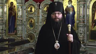 МАТФЕЙ, архиепископ Егорьевский о состоявшейся Детской Божественной Литургии.