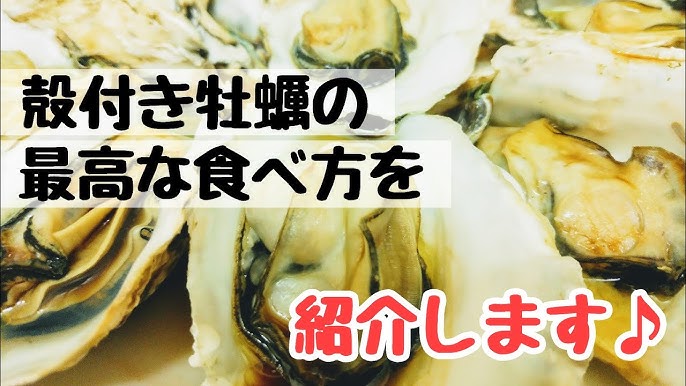 殻付き牡蠣 殻の開け方 簡単調理 牡蠣の緑酢がけ Youtube 殻付き牡蠣 殻の開け方 簡単調理 牡蠣の緑酢がけ Youtube